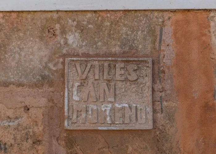 Viles Can Moreno